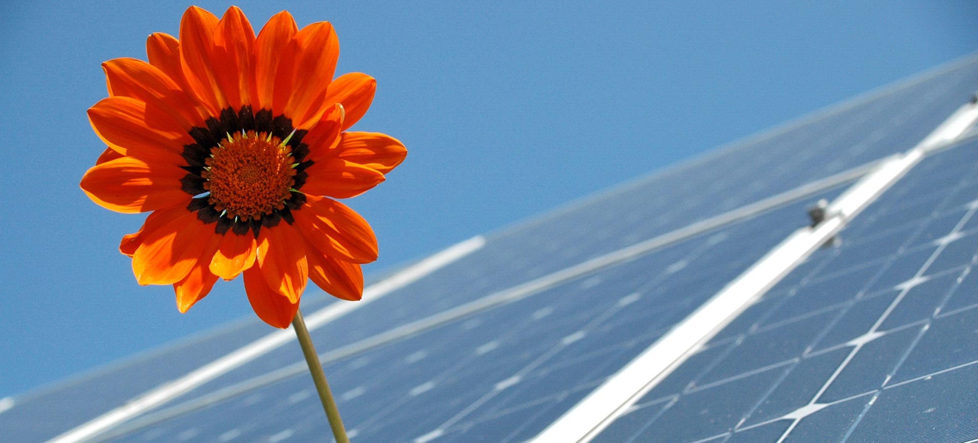 Team HolzBau Holding GmbH Exklusive Wohnungen